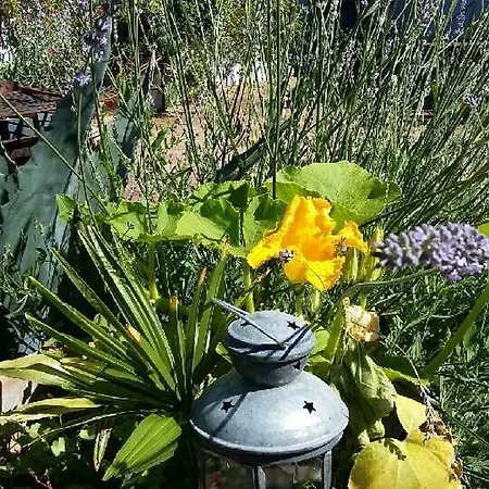 Appartamento Aux Portes Du Marais Poitevin *